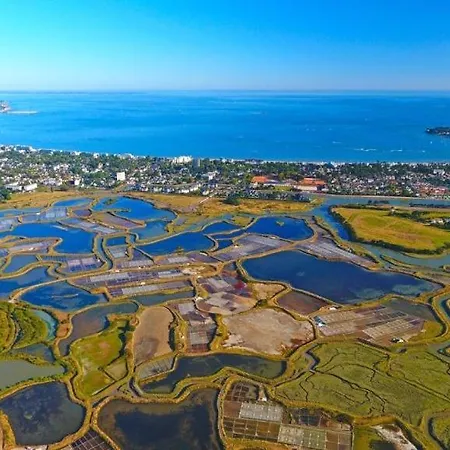 Le Logis De - Maison Climatisee Piscine * La Baule